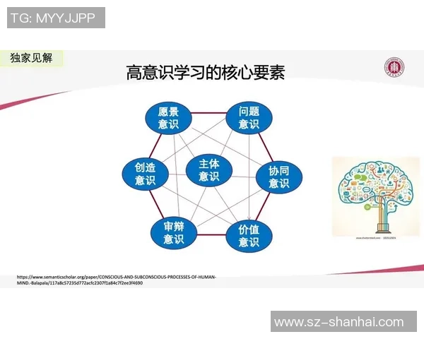 成都排球队转型之路的挑战与机遇探索特别报道