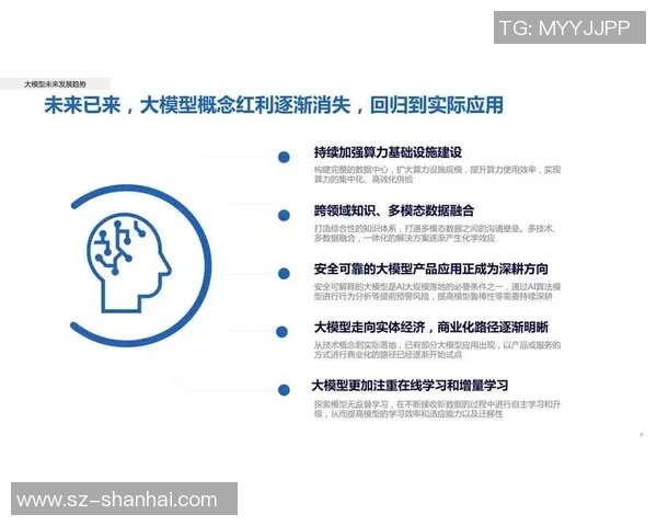 武汉排球队总决赛表现分析与状态评估的深度解读 武汉排球队总决赛表现分析与状态评估的深度解读