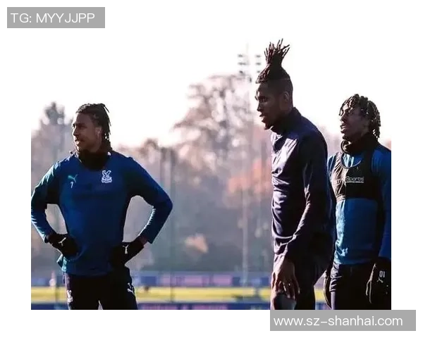 意大利足球明星赛场趣事频发笑声不断引发球迷热议 意大利足球明星赛场趣事频发笑声不断引发球迷热议