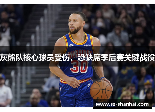 灰熊队核心球员受伤，恐缺席季后赛关键战役