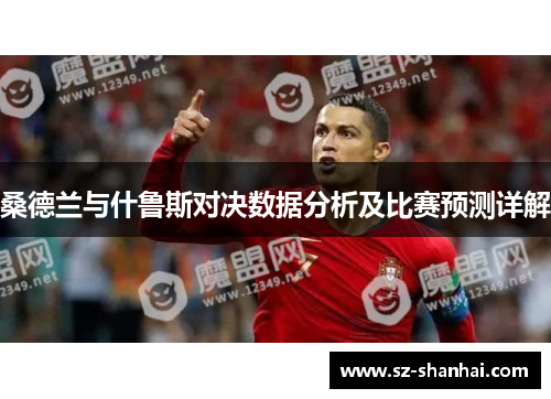 桑德兰与什鲁斯对决数据分析及比赛预测详解